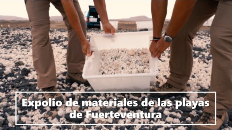 Fuerteventura: Descubre las playas inclusivas que te sorprenderán