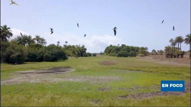 Explora las ex&oacute;ticas playas de Guinea Bissau