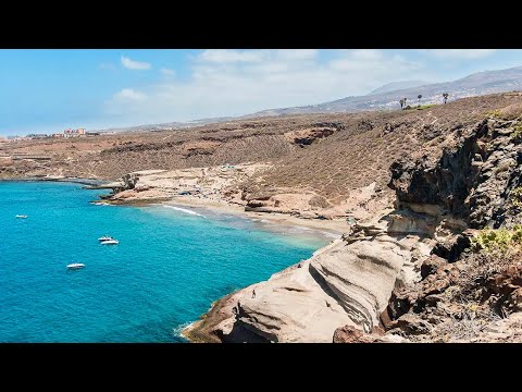 Descubre las increíbles rutas costeras para perros en Tenerife