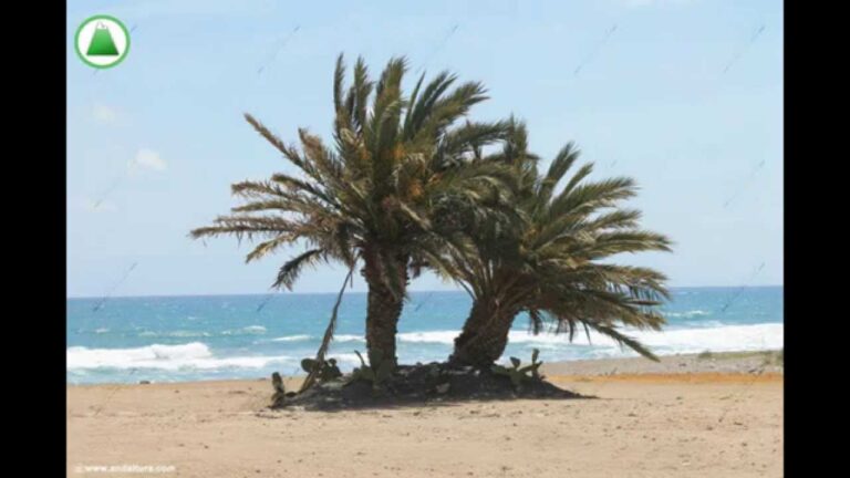 Descubre la sorprendente Guía de Playas en Mojácar: paraíso mediterráneo en España