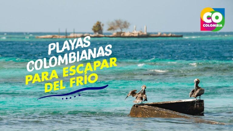 Descubre el encanto de las playas colombianas: un paraíso tropical a tu alcance