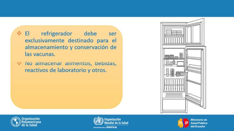 Descubre la importancia de las neveras de playa para disfrutar del verano