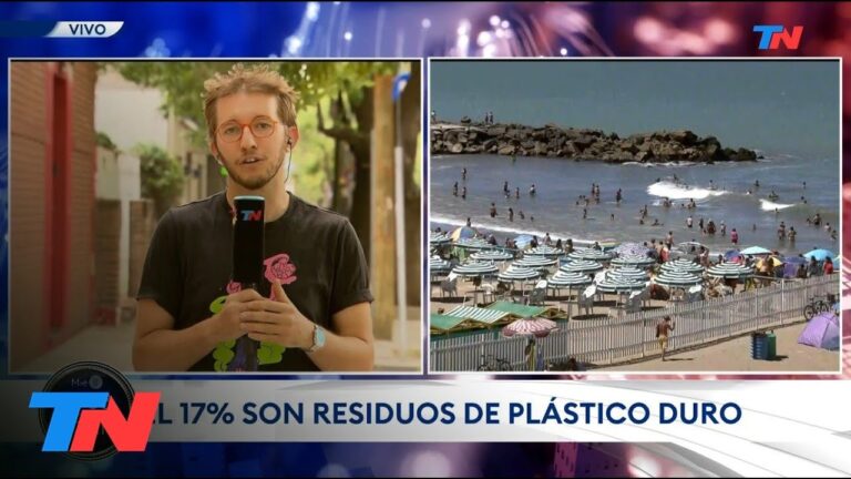 Playas de Alicante: impacto ambiental de la contaminaci&oacute;n marina