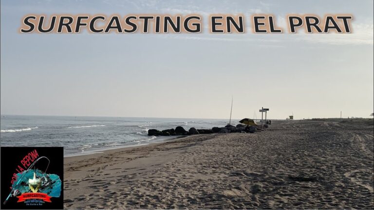 Descubre las emocionantes actividades en las playas del Prat