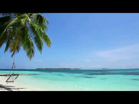 Descubre la relajaci&oacute;n en nuestras playas de arena blanca