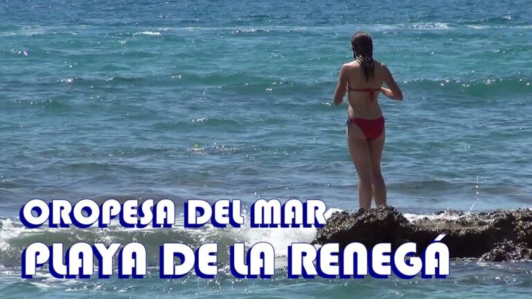 Descubre las emocionantes actividades y servicios en las playas nudistas de Castellón