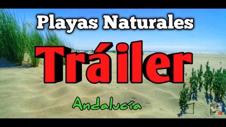 Descubre las maravillas naturales en las playas de Huelva: ¡una experiencia única!