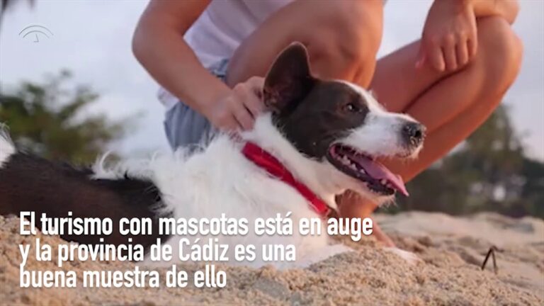 Cádiz: descubre los lugares pet-friendly para disfrutar con tu mascota