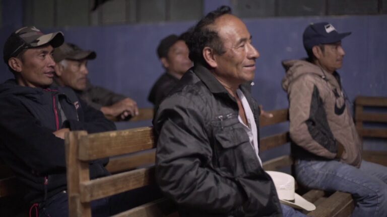 Descubre los secretos marinos explorando las costas de Guatemala