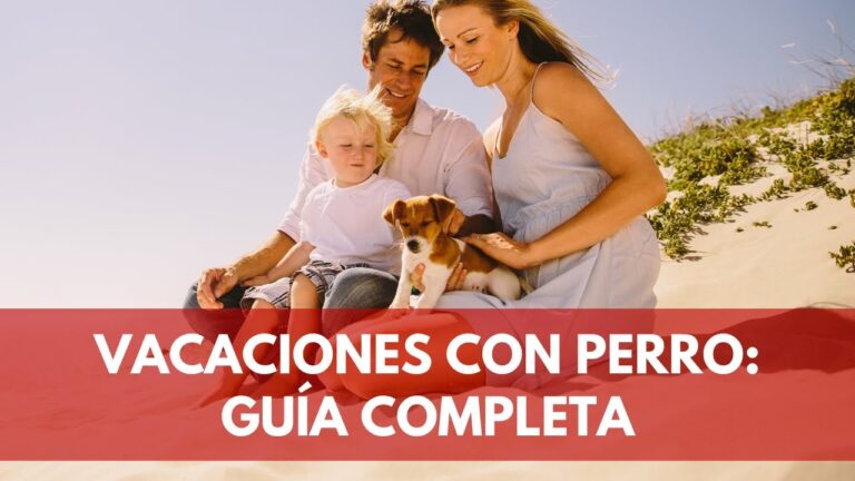 ¡Paraísos caninos en la costa! Descubre los mejores destinos de playa para perros