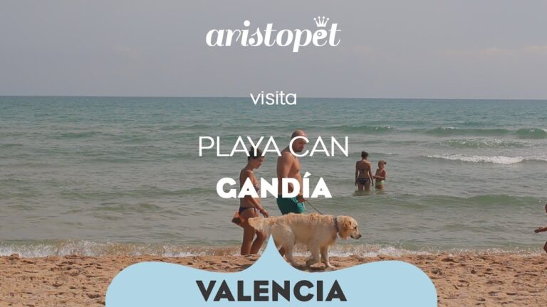 Descubre los mejores lugares dog-friendly en Gandía para pasear con tu perro