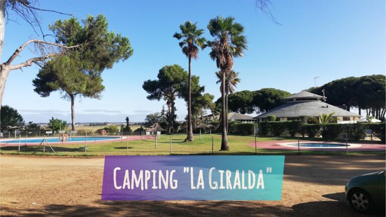 Huelva: Destinos ideales para perros, ¡descubre los paraísos caninos!