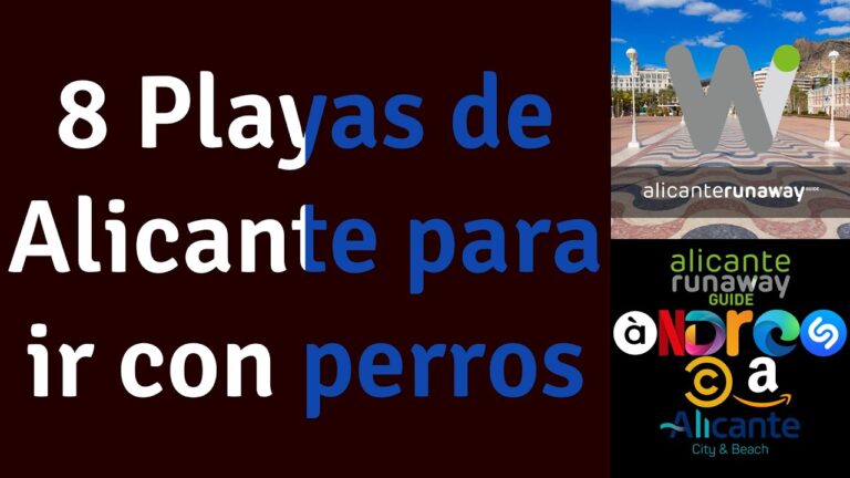 Descubre las playas caninas de Alicante: ¡el paraíso para tus mascotas!