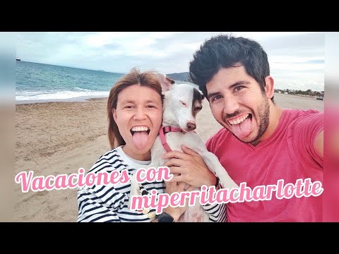Descubre las playas dog-friendly de Vera: el para&iacute;so canino a tu alcance