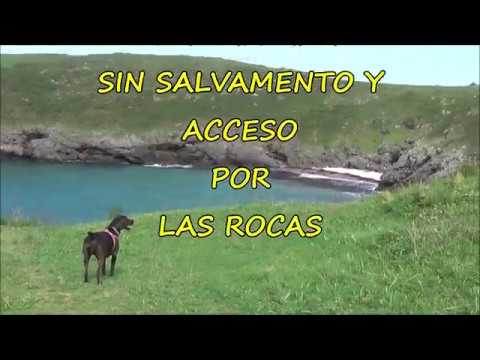 Playas con tu perro en Llanes: consejos imprescindibles