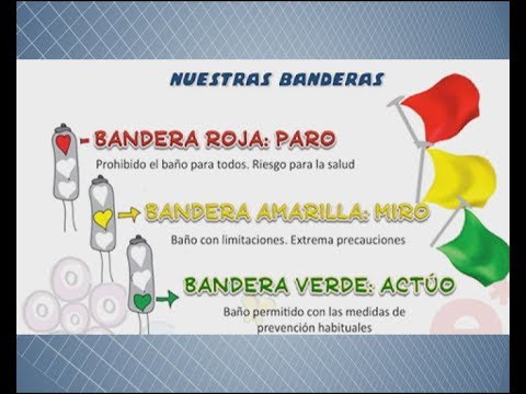 Playas del D&iacute;a D: la belleza y el significado hist&oacute;rico que cautivan