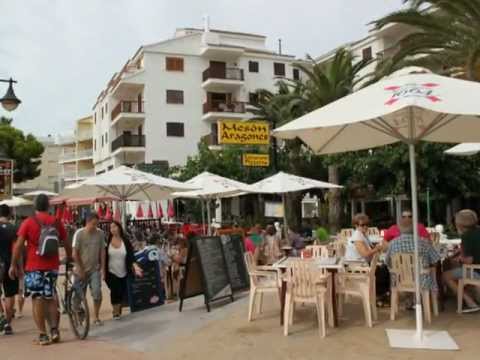 Descubre la exquisita gastronom&iacute;a en las playas de Alcoceber