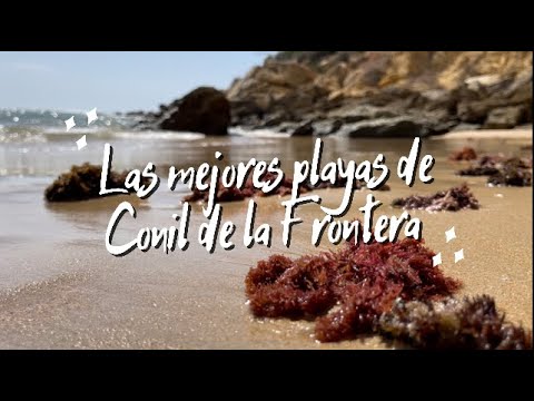 Descubre las paradis&iacute;acas playas de Conil de la Frontera