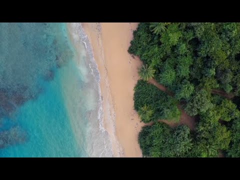 Descubre las Playas V&iacute;rgenes de Puerto Rico: Un Para&iacute;so Natural