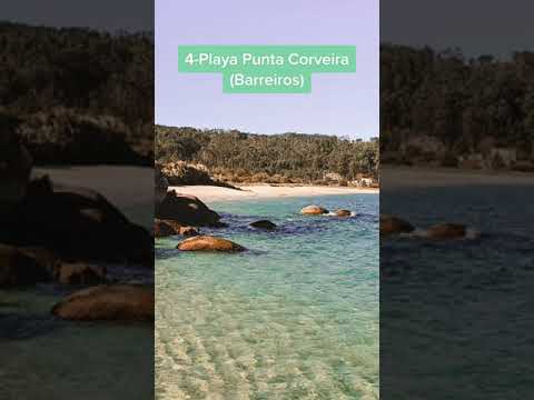 Galicia: Descubre las playas para perros, &iexcl;diversi&oacute;n asegurada!