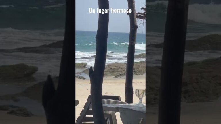 Descubre la relajación en las playas de Oaxaca: tu escape perfecto