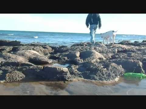Secretos para gozar las playas nudistas en Santa Pola