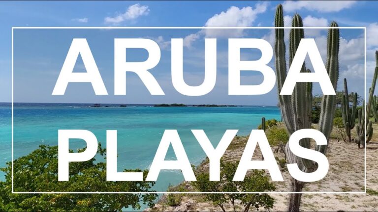 Descubre las paradisíacas playas de la zona