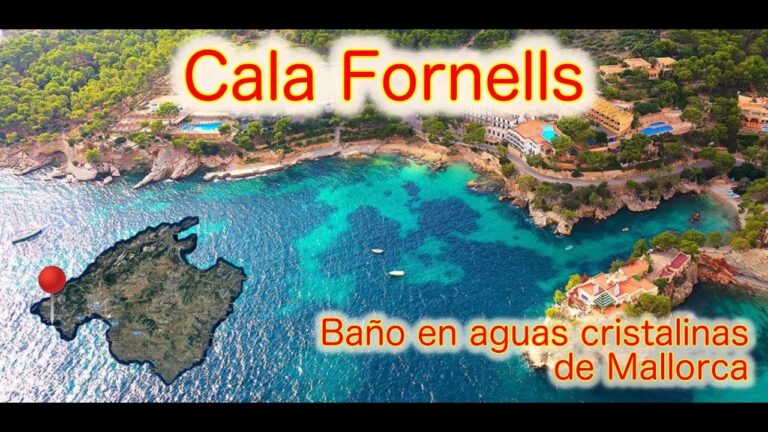 Descubre el relax y sol en las playas de Paguera: ¡Un paraíso vacacional!