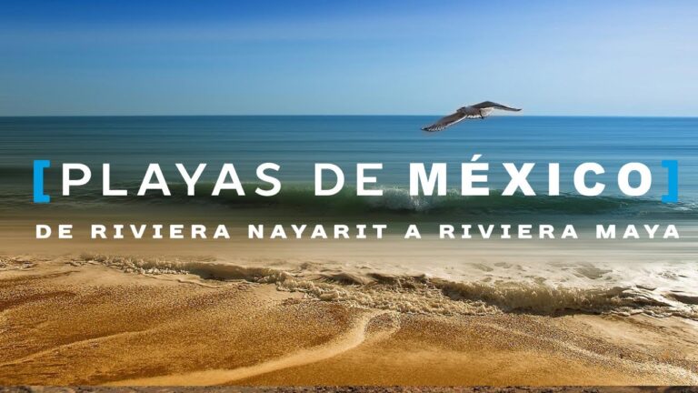Descubre los tesoros ocultos en las costas de la Riviera Maya