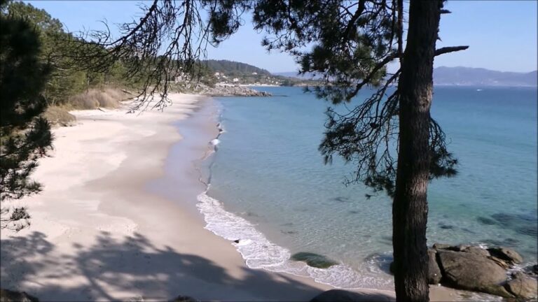 Descubre las paradisíacas playas con bosques de pinos en Galicia