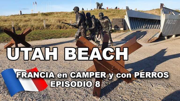 Descubre las mejores playas para perros en Francia