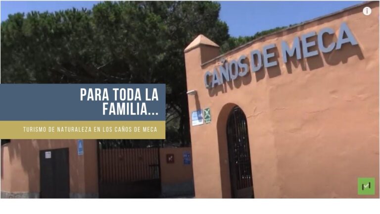 Descubre las paradis&iacute;acas playas v&iacute;rgenes del Camper Park Playas de Luz