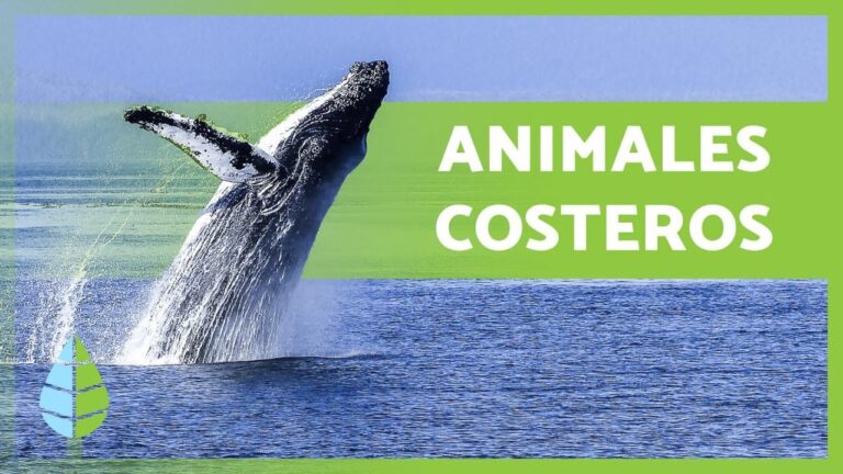 Descubre la fascinante fauna costera: un tesoro natural de 70 caracteres