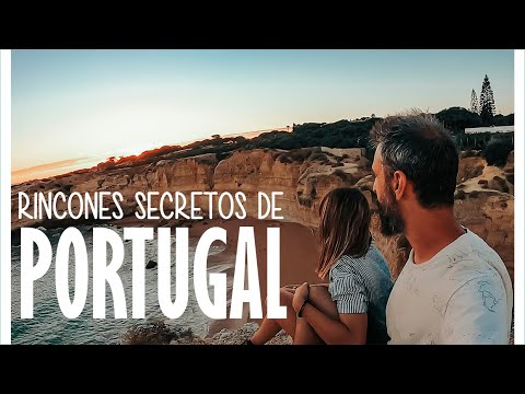 Perros bienvenidos: Las playas de Algarve se adaptan a nuestros amigos de cuatro patas
