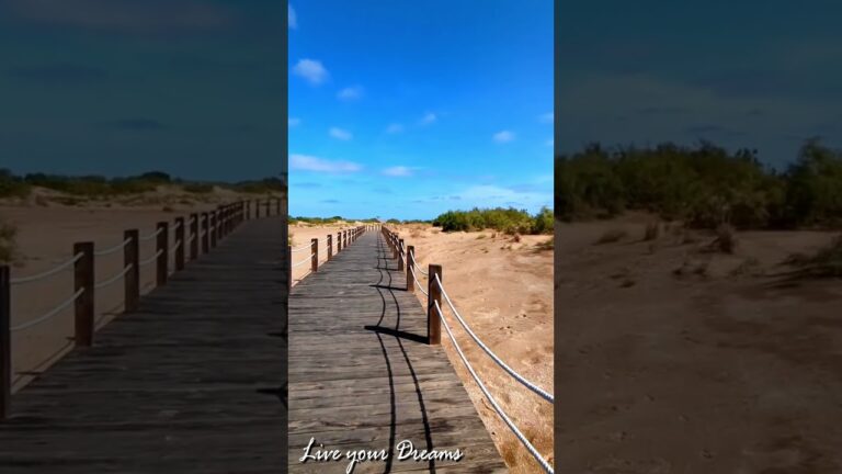 Descubre playas impresionantes desde tu escritorio: una experiencia virtual inolvidable.