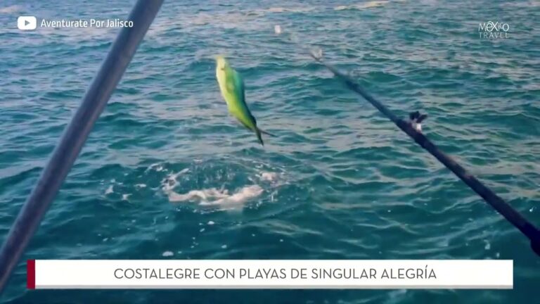 Descubre los tesoros ocultos en las playas de Costa Alegre