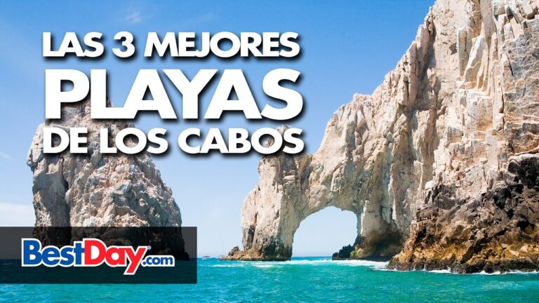 Las 7 increíbles playas de Cabo: ¡descubre el paraíso costero!