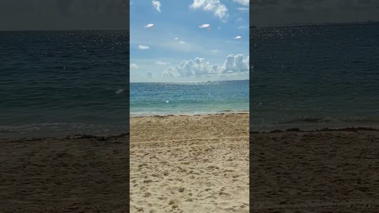 Descubre las mejores playas para relajarte en Dublín