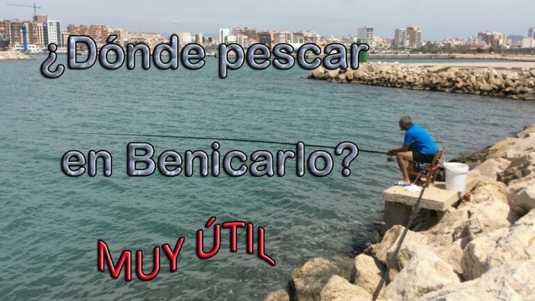 Descubre las increíbles playas de Benicarló: ¡un paraíso costero en España!