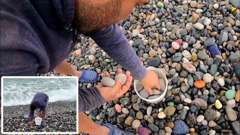 Descubre playas con piedras de colores: una joya escondida en la naturaleza