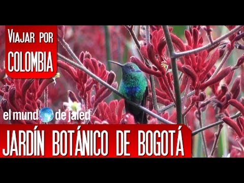 Descubre la impresionante belleza de las playas en la avenida Playas del Duque