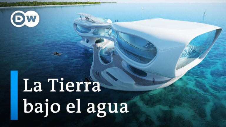 Explora la fascinante belleza submarina del Mar Rojo