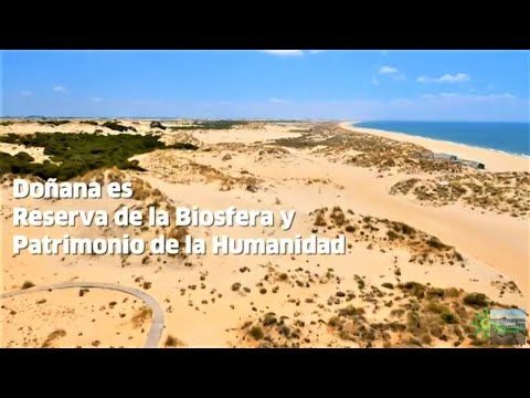 ¡Vive una experiencia única! Descubre los transbordadores hacia las playas de Cartaya