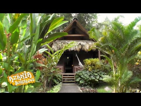 Descubre los maravillosos para&iacute;sos costeros en Lim&oacute;n