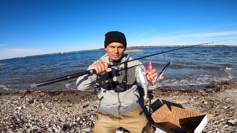 Aprende las mejores t&eacute;cnicas de pesca en la playa para capturar m&aacute;s peces