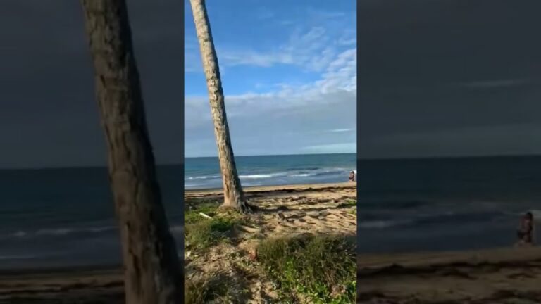 Descubre las paradisíacas playas vírgenes de la llana: ¡un paraíso natural por explorar!