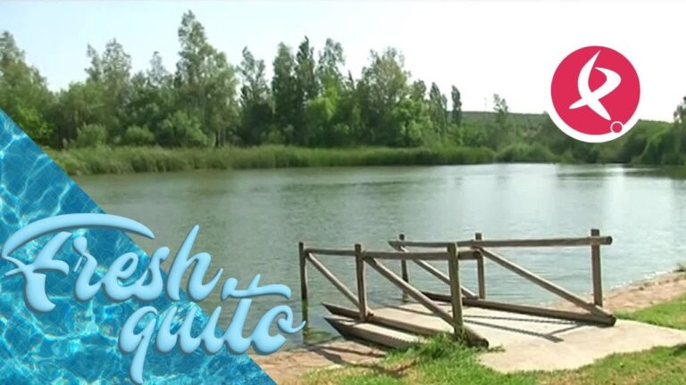 Descubre las sorprendentes playas fluviales de Extremadura