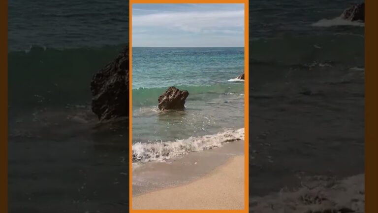 Explora las emocionantes actividades acu&aacute;ticas en Miami Beach