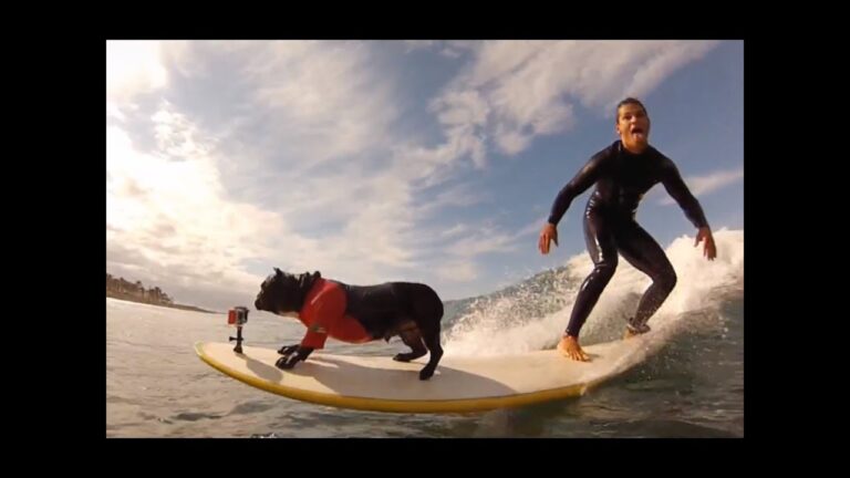 Descubre las mejores escuelas de surf en Tenerife: ¡Domina las olas!