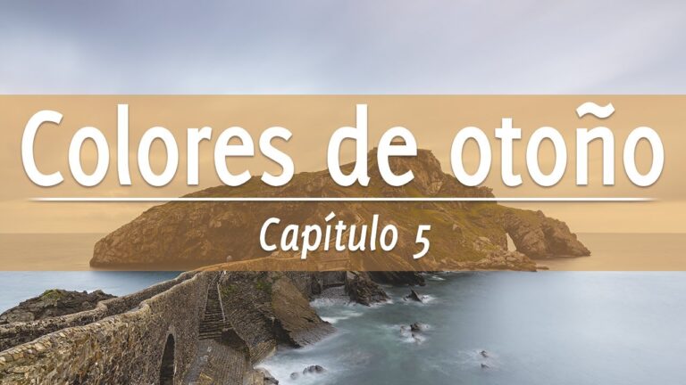 Descubre los destinos ideales para perros en el Pa&iacute;s Vasco